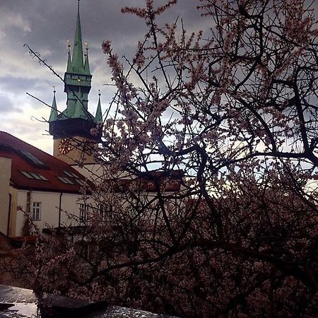 Althansky Palac Znojmo Kültér fotó